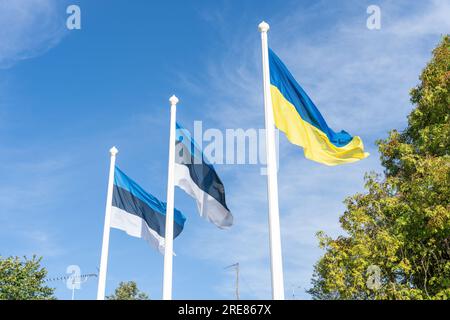 Drapeaux ukrainiens et estoniens ensemble sur des poteaux de drapeau ondulant dans le vent Banque D'Images