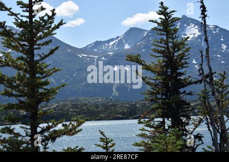 Summertime en Alaska. Banque D'Images