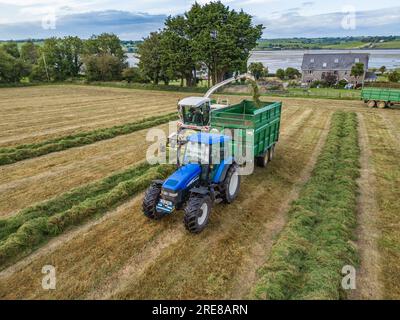 Coupe d'ensilage d'herbe sur Courtmacsherry Bay, juillet 2023 Banque D'Images