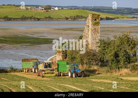 Coupe d'ensilage d'herbe sur Courtmacsherry Bay, juillet 2023 Banque D'Images