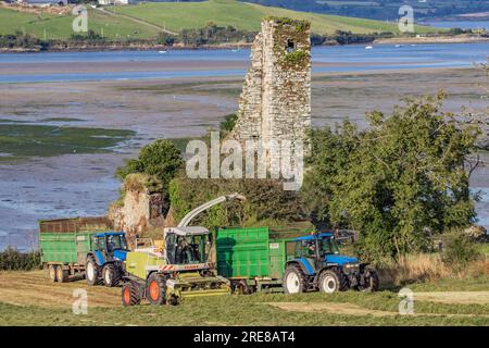 Coupe d'ensilage d'herbe sur Courtmacsherry Bay, juillet 2023 Banque D'Images