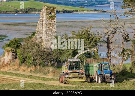 Coupe d'ensilage d'herbe sur Courtmacsherry Bay, juillet 2023 Banque D'Images