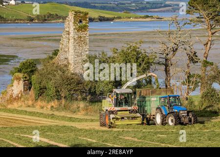 Coupe d'ensilage d'herbe sur Courtmacsherry Bay, juillet 2023 Banque D'Images