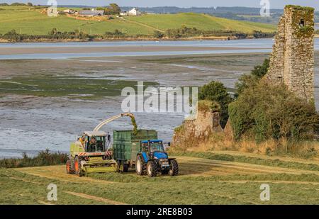 Coupe d'ensilage d'herbe sur Courtmacsherry Bay, juillet 2023 Banque D'Images