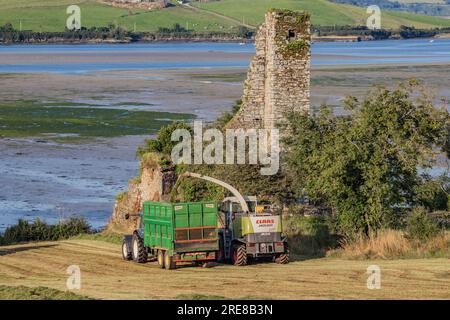 Coupe d'ensilage d'herbe sur Courtmacsherry Bay, juillet 2023 Banque D'Images