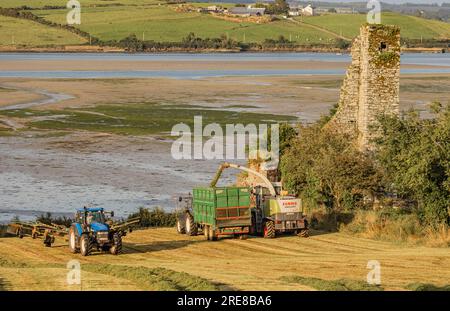 Coupe d'ensilage d'herbe sur Courtmacsherry Bay, juillet 2023 Banque D'Images