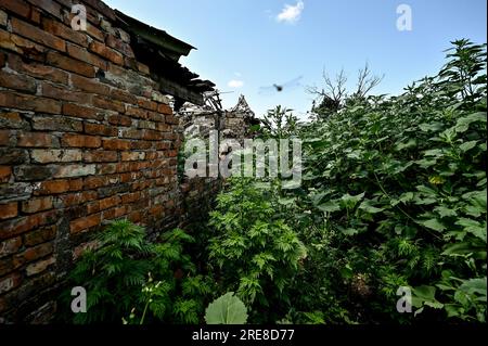 NOVODARIVKA, UKRAINE - 21 JUILLET 2023 - Une maison détruite par le bombardement des troupes russes est photographiée dans le village de Novodarivka, région de Zaporizhzhia, SO Banque D'Images