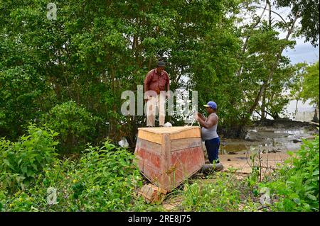 Près d'une rivière et entouré de verdure deux charpentiers du village de Ponoma au Suriname renouvellent le fond d'un bateau en bois Banque D'Images