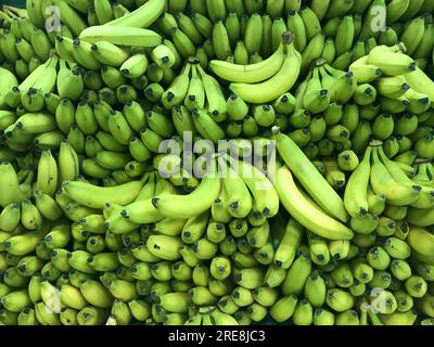 Bananes exposées dans mon supermarché local. Banque D'Images