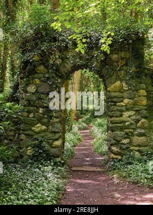 Arche murale en pierre sur un chemin boisé au printemps avec de l'ail sauvage en fleur. Aussi connu sous le nom de Penrhos Country Park. Penrhos Coastal Park, île d'Anglesey Banque D'Images