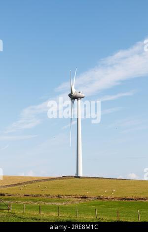 Éoliennes à Royd Moor Banque D'Images