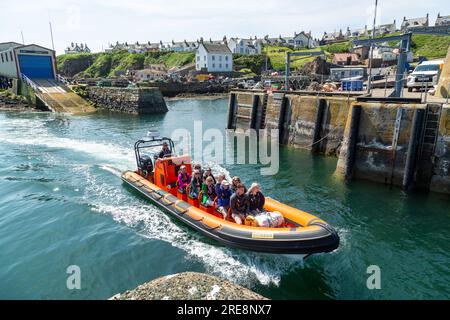 Un groupe de touristes en route pour un voyage touristique sur un bateau pneumatique au départ du port de St Abbs. Banque D'Images