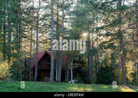 Maison en bois dans une forêt de pins au coucher du soleil. Banque D'Images