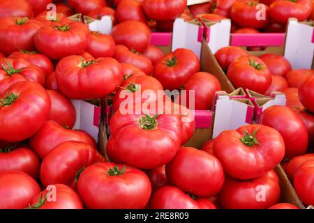 Vitrine sur laquelle les tomates sont disposées, vue de dessus. marché alimentaire. Banque D'Images