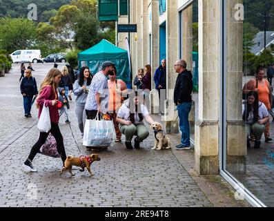 Truro, Royaume-Uni. , . Truro était vide un jour de marché terne et pluvieux sur Lemon Quay. Les prévisions sont forlight précipitations, averses de pluie légères de 19C et brise légère pour le reste de la journée. Crédit : Keith Larby/Alamy Live News Banque D'Images