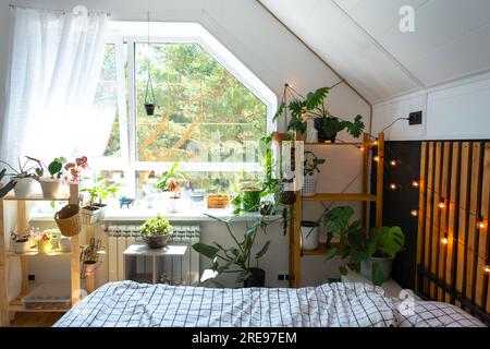 Intérieur de chambre de style loft, mur noir avec lattes en bois, lit en métal, guirlande d'ampoules rétro, plantes en pot sur une fenêtre trapézoïdale dans le grenier. M Banque D'Images