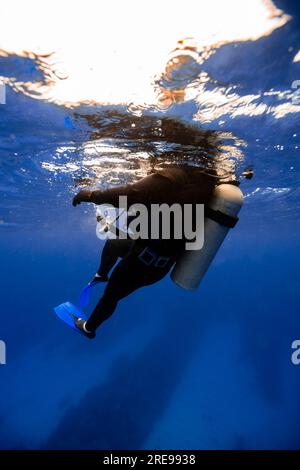 Plongeur en combinaison noire et palmes avec réservoir plongeant dans la mer bleue situé à Cancun Banque D'Images