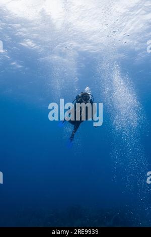 Corps entier de plongeur sous-marin nageant sous l'eau avec des bulles tout en explorant la mer claire profonde pendant la visite de plongée à Cancun Banque D'Images