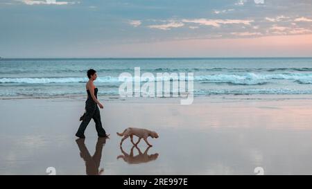 Vue latérale de la propriétaire femme se promenant avec le chien de race pure sur la plage de sable humide près de la mer ondulante contre le ciel nuageux du coucher du soleil Banque D'Images
