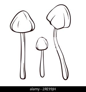 Champignon non comestible Conocybe Filaris dans le style art en ligne. Croquis alimentaire toxique. Illustration vectorielle isolée sur fond blanc. Champignon mortel Illustration de Vecteur