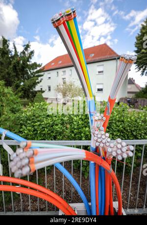 Zwenkau, Allemagne. 26 juillet 2023. Les câbles à fibres optiques dépassent de la base d'une armoire de commande. Envia tel, opérateur de réseau à fibre optique de l'est de l'Allemagne, souhaite connecter environ 80 000 foyers à l'Internet haut débit dans les années à venir. L'objectif est d'atteindre des largeurs de bande allant jusqu'à 1 gigabits par seconde. Des investissements de plus de 350 millions d’euros sont prévus pour cela d’ici 2026. Crédit : Jan Woitas/dpa/Alamy Live News Banque D'Images