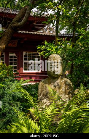 bouddha devant le salon de thé du jardin japonais à Leverkusen, Rhénanie du Nord-Westphalie, Allemagne. Buddha vor dem Teehaus im Japanischen Garten in Banque D'Images