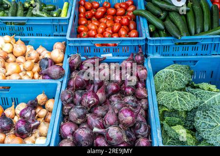 Oignons, chou et autres légumes à vendre sur un marché Banque D'Images