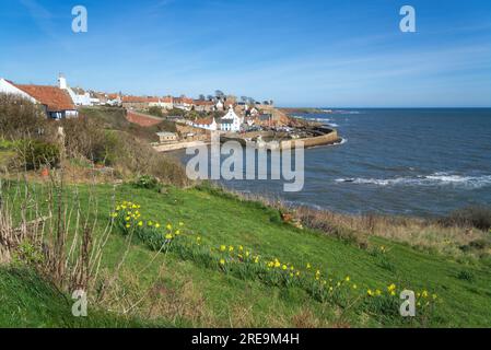 Port de Crail. Crail est l'un des anciens villages à toit pantilé de l'est Neuk de Fife. Petits bateaux et filets de pêche. Crail, Fife, Écosse Royaume-Uni Banque D'Images