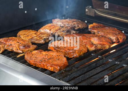 Rôtir de viande marinée sur le barbecue pour un délicieux dîner lors d'une fête de jardin, foyer sélectionné, profondeur de champ étroite Banque D'Images