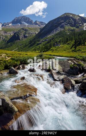 Eau en mouvement de la rivière Chiese parmi les rochers. Val di Fumo vallée alpine, prairie verte. Pic de montagne Carè Alto. Trentino. Alpes italiennes. Europe. Banque D'Images