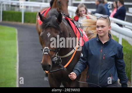 Londres, Royaume-Uni. 26 juillet 2023. Whitcombe Rockstar dans le ring avant de remporter le 18,00 à Sandown Park Racecourse, Royaume-Uni. Crédit : Paul Blake/Alamy Live News. Banque D'Images