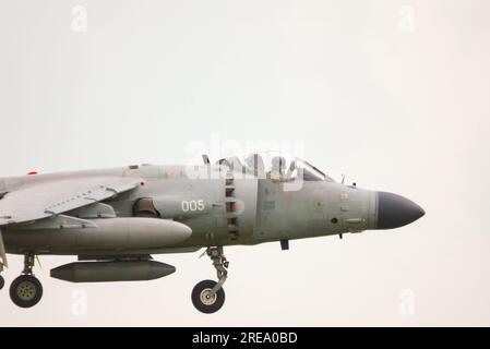 Avion de chasse British Aerospace Sea Harrier FA2 atterrissant à RAF Waddington pour le salon aéronautique international, Royaume-Uni. Jet de saut Royal Navy Banque D'Images