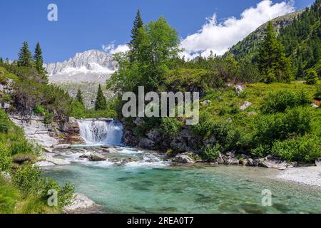 Rivière Chiese, cascade. Val di Fumo vallée alpine. Pic de montagne Carè Alto. Trentino. Alpes italiennes. Europe. Banque D'Images