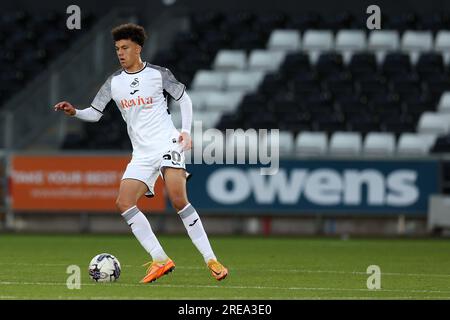 Swansea, Royaume-Uni. 25 juillet 2023. Filip Lissah de Swansea City en action. Match amical de pré-saison, Swansea City contre Bristol Rovers au Swansea.com Stadium à Swansea, pays de Galles, le mardi 25 juillet 2023. Cette image ne peut être utilisée qu'à des fins éditoriales. Usage éditorial uniquement, photo par Andrew Orchard/Andrew Orchard photographie sportive/Alamy Live News crédit : Andrew Orchard photographie sportive/Alamy Live News Banque D'Images