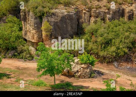 Vallée de Bovera un après-midi de printemps (les Garrigues, Lleida, Catalogne, Espagne) ESP : Valle de Bovera en una tarde de primavera (les Garrigues, Lérida) Banque D'Images