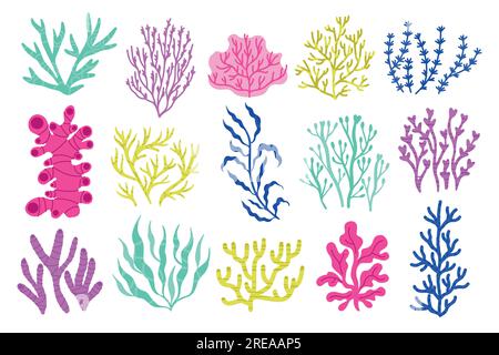 Algues marines et algues. Plantes sous-marines colorées de dessin animé, flore botanique marine exotique colorée, plantes de corail et d'eau. Ensemble isolé de vecteur Illustration de Vecteur