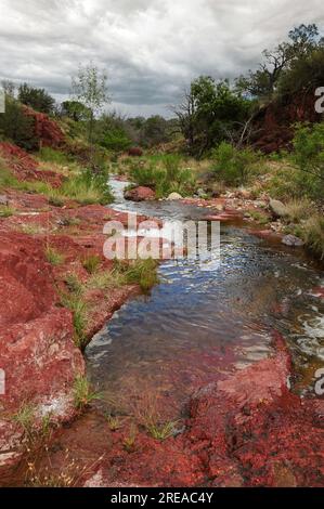 Red Rock accueille Cave Creek le long de l'Arizona National Scenic Trail dans Gardner Canyon, Santa Rita Mountains, Coronado National Forest, Arizona, États-Unis Banque D'Images