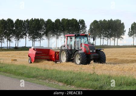 un tracteur rouge équipé d'une presse à balles roule dans un champ de chaume avec une rangée d'arbres en arrière-plan et fait de petites balles de foin Banque D'Images