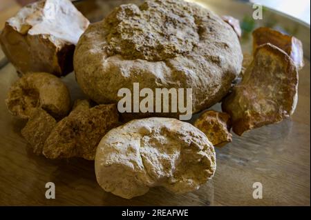 Visite des vins dans les caves en appellation Pouilly-fume, exemples de terroirs de vignes en appellation Pouilly-fume, cailloux silex, argile, caillottes limeston Banque D'Images