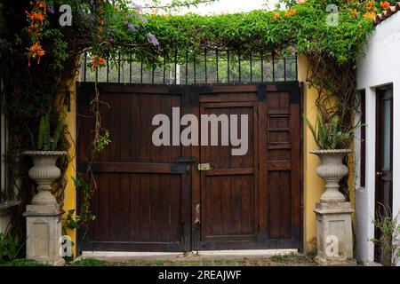 Porte en bois vintage fermée avec des fleurs en fleurs et porte autour d'elle Banque D'Images