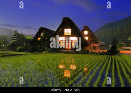 Shirakawa-Go sur une nuit d'été Banque D'Images