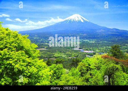 Verdure fraîche de Momiji-dai et Mt. Banque D'Images