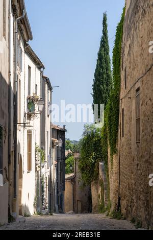 Vue verticale du paysage de la vieille rue étroite dans le centre-ville historique pittoresque de Montpellier, France en été Banque D'Images