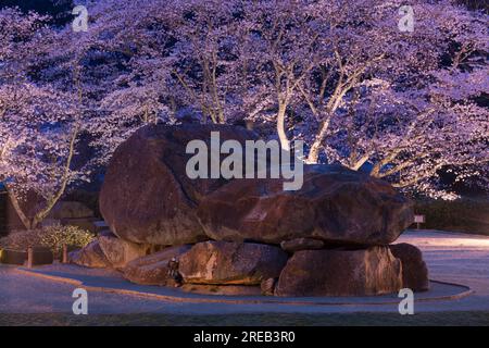 Tombe d'Ishibutai Kofun Banque D'Images