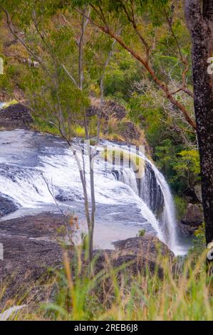 Millstream Falls, Yindinji, Big Millstream Falls, réputée être la plus large cascade d'Australie, Ravenshoe, Australie. Banque D'Images
