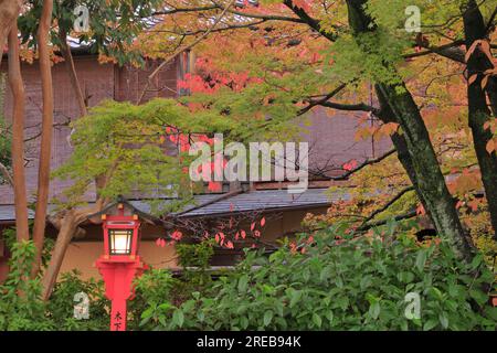 Gion en automne Banque D'Images