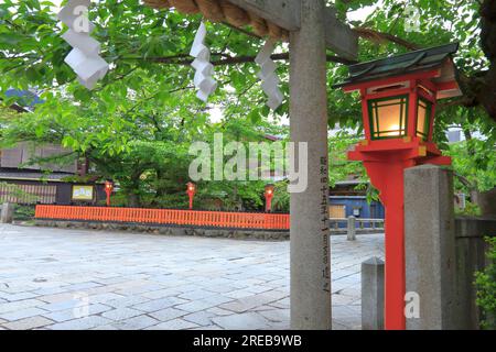 Gion en vert frais Banque D'Images