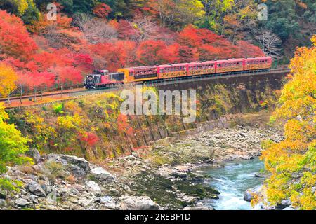 Train de trolley en feuilles d'automne Banque D'Images