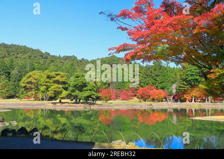 Temple Motsuji dans les feuilles d'automne Banque D'Images