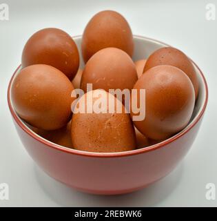 Oeufs frais dans un bol rond rouge et blanc photographié sur fond blanc sous les lumières du studio. Banque D'Images